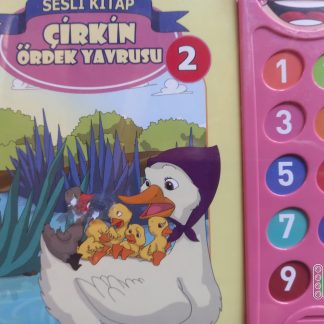 SESLİ KİTAP: ÇİRKİN ÖRDEK YAVRUSU